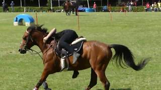 Mounted Games: Rebecca e Billi  italian team championship 2019 screenshot 5