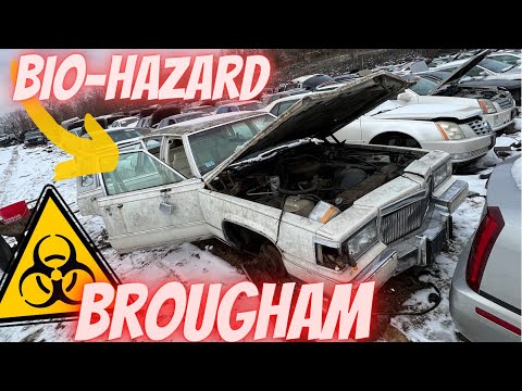 Biohazard Junkyard Brougham! Triple white D’Elegance is INFESTED Cadillac Brougham Part picking