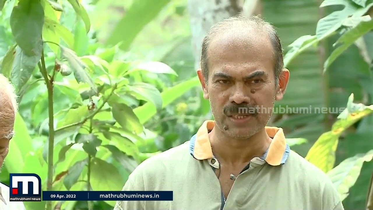 മണ്ണിന്റെ ടോണിക്ക് 'ജീവാമൃതം' നിര്‍മിക്കാം| Jeevamrutham| Soil Tonic| KrishiBhoomi |Mathrubhumi News