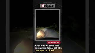 Ayıyı aracıyla takip eden sürücünün ifadesi şok etti: Vurayım mı biraz