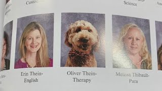 Meet Oliver, Forest Lake High School's Therapy Dog