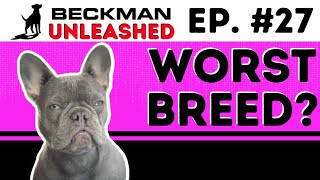 Do NOT Buy this Breed Right Now! New Merch!!!  What's Joel's Problem with 'Do Gooders'? Ep.27
