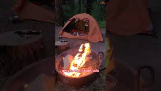 Why Are Pit Bulls So Misunderstood?