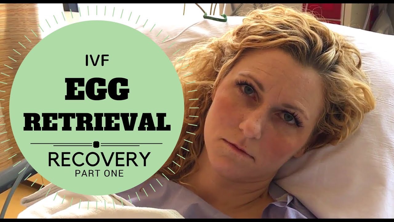 IVF Egg Retrieval Recovery Part 1 YouTube