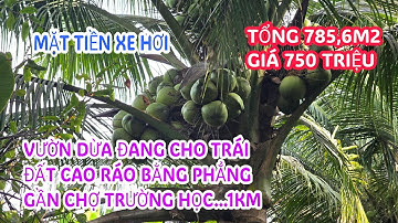MS:25156 Bán đất đẹp chính chủ ký gởi 750 triệu - Đường xe hơi cách quốc lộ 1A khoảng 800m .