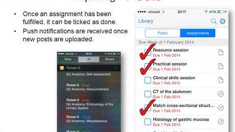 What difference is "iTunes U" course making to anatomy learners?