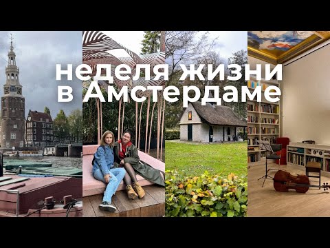 Жизнь в Амстердаме: как я провожу дни в этом городе? | Показываю свои любимые места ✨