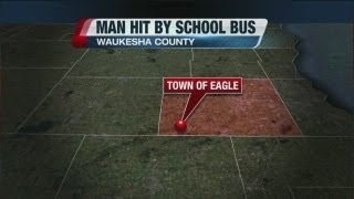 School bus hits man after he tries to save a turtle in the road