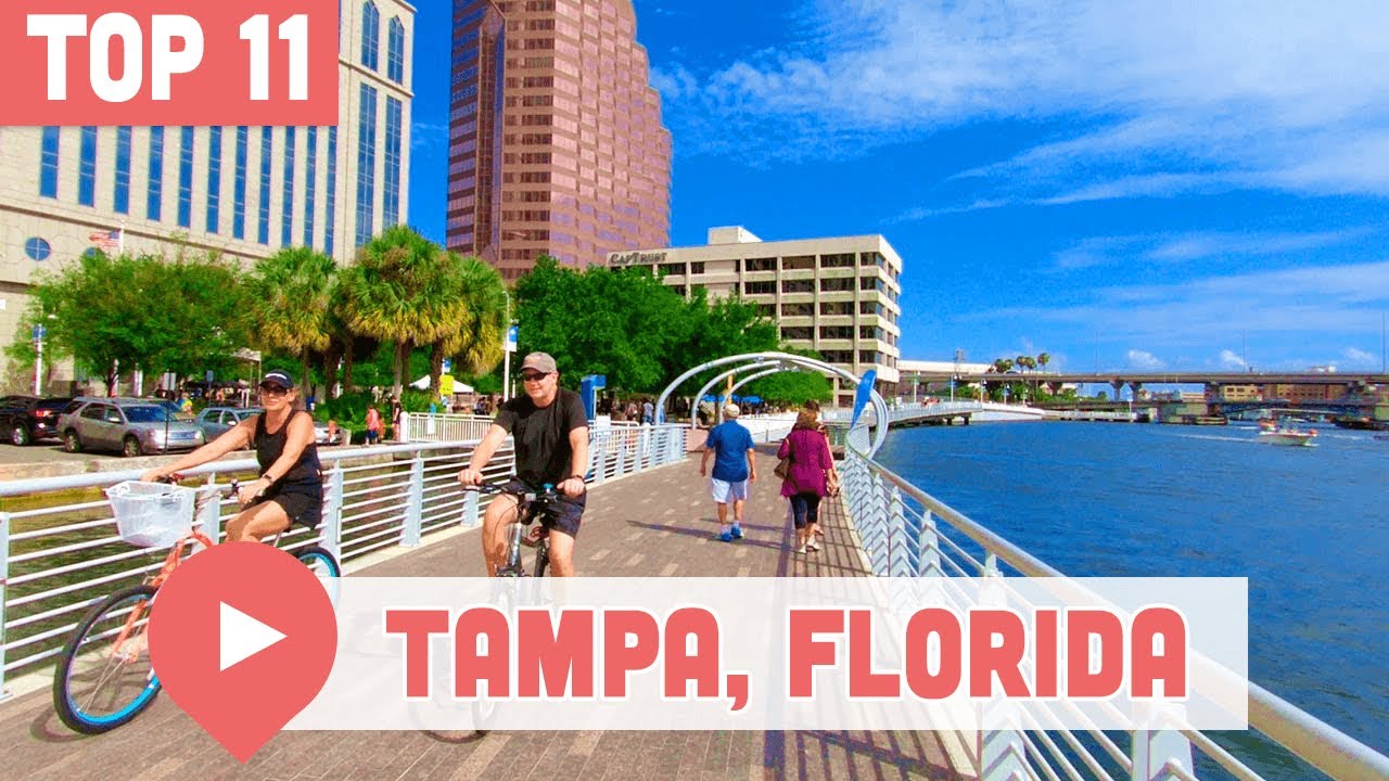 Best Things to Do in Tampa, Florida YouTube