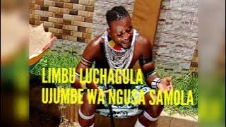 limbu luchagula ujumbe wa ngusa samola 2023