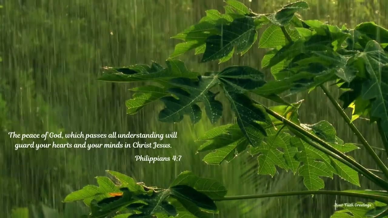 1 hour of Peaceful Rain & Nature Sounds Quiet Time with God • No Talking • No Music. Philippians