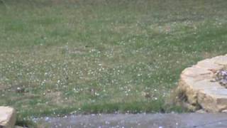 March Hail Storm Leander Texas