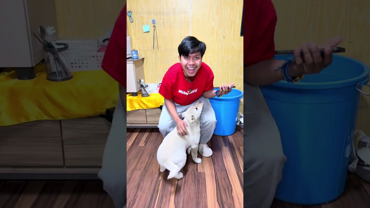 សុំ100K ផ្ទុះបាន1M😱ពូចិត្រFunny 
