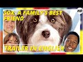 Sox: A Family&#39;s Best Friend | Comedy | Family | HD | Trailer in English