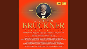 String Quartet in C Minor, WAB 111: I. Allegro moderato