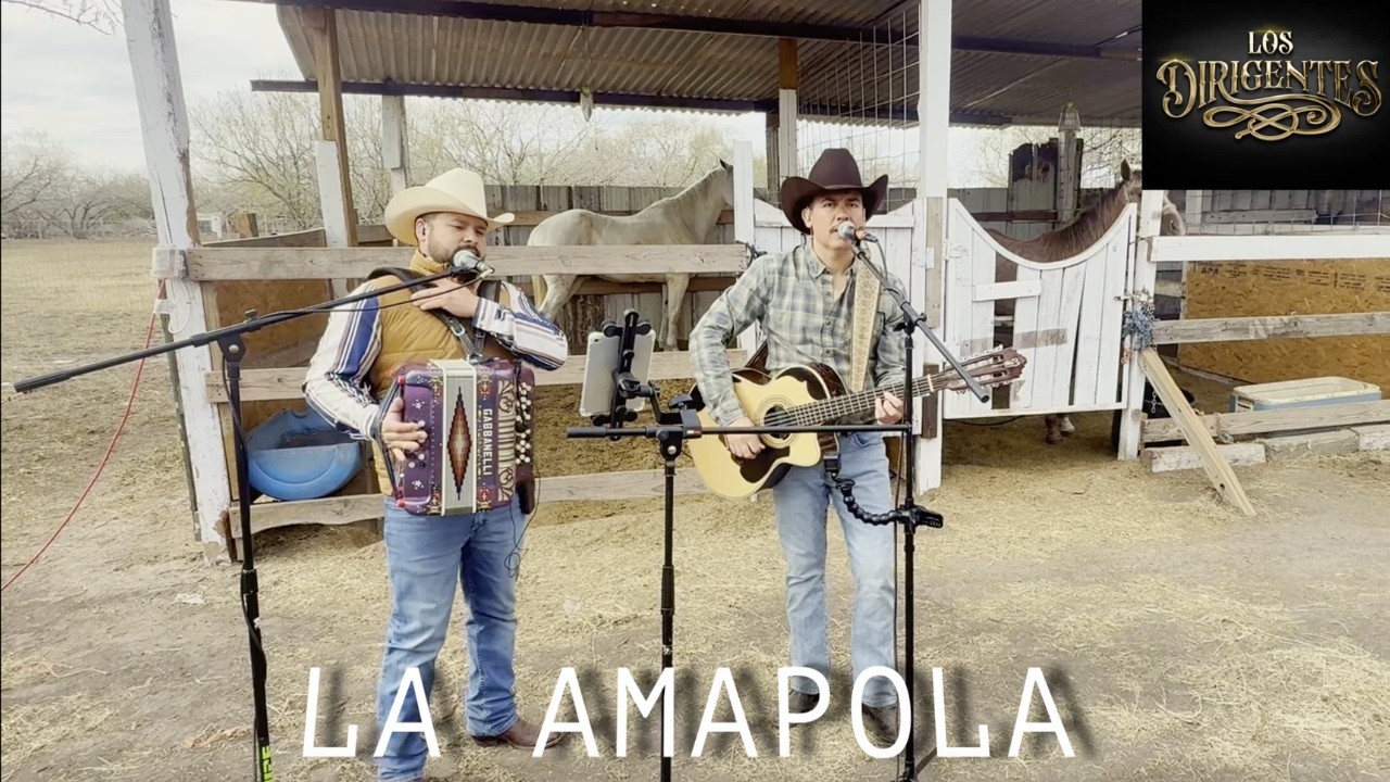 Corrido De La Amapola
