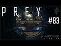 Lets play prey 83 noch mehr fluchtkapseln