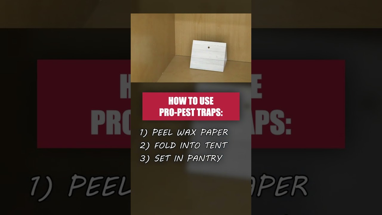 Use Pro-Pest Traps to Control Pantry Infestations!