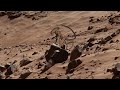 NASA's Mars Rover Capture New Best Video clip | Latest Mars 360 video Footage of Mars Sand Ocean