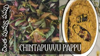 Chinta puvvu pappu | చింత పువ్వు పప్పు | Imili phool dal | kadiyala Mamatha