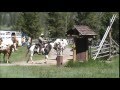 Turpin Meadow Wyo, horseback pack trip June 30th 2014