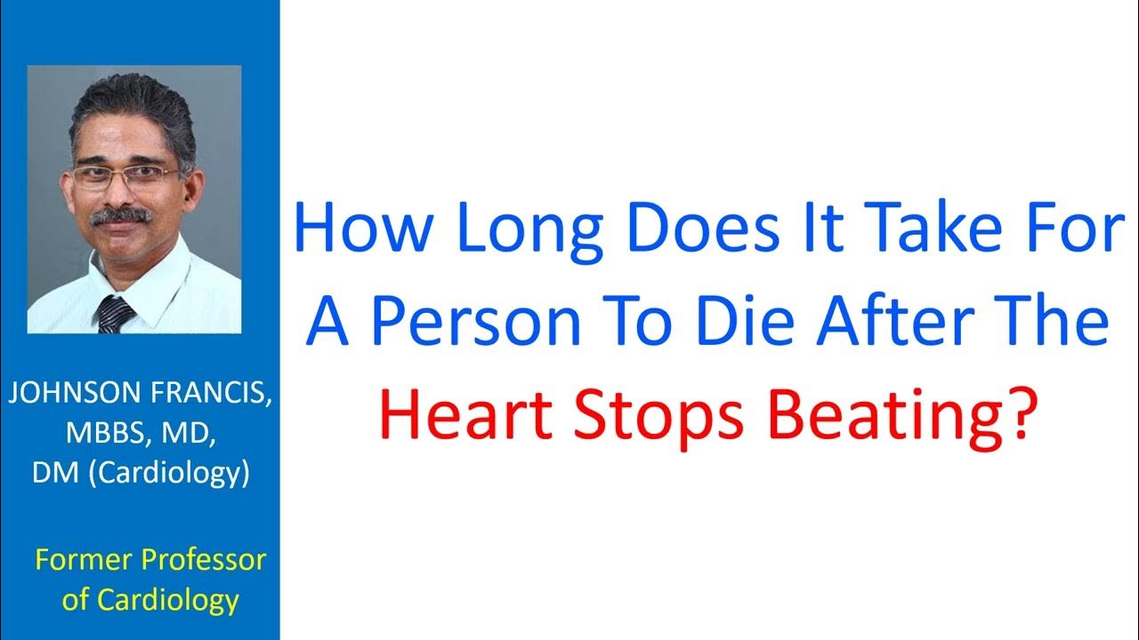 How Long Does It Take For A Person To Die After The Heart Stops Beating? YouTube