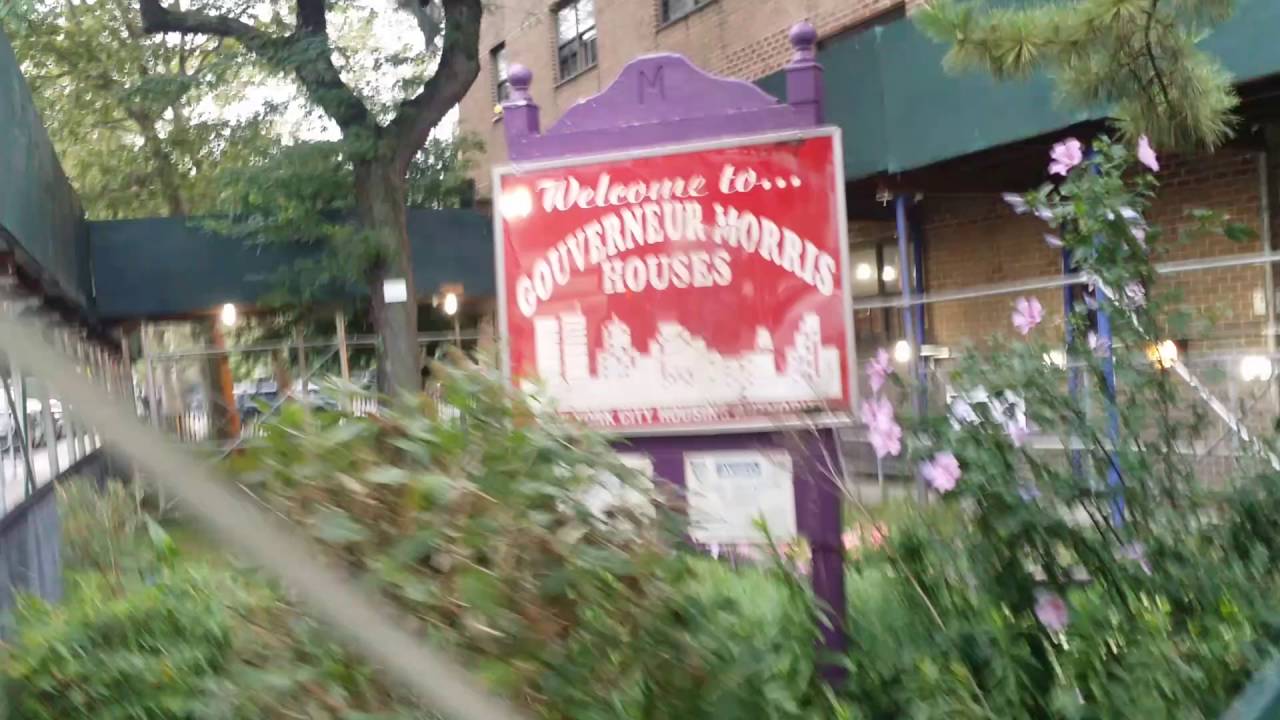 NYCHA HOUSING PROJECTS bronx ny YouTube