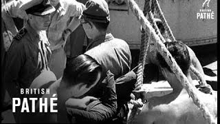 Download Lagu Tokyo Bay (1945) MP3