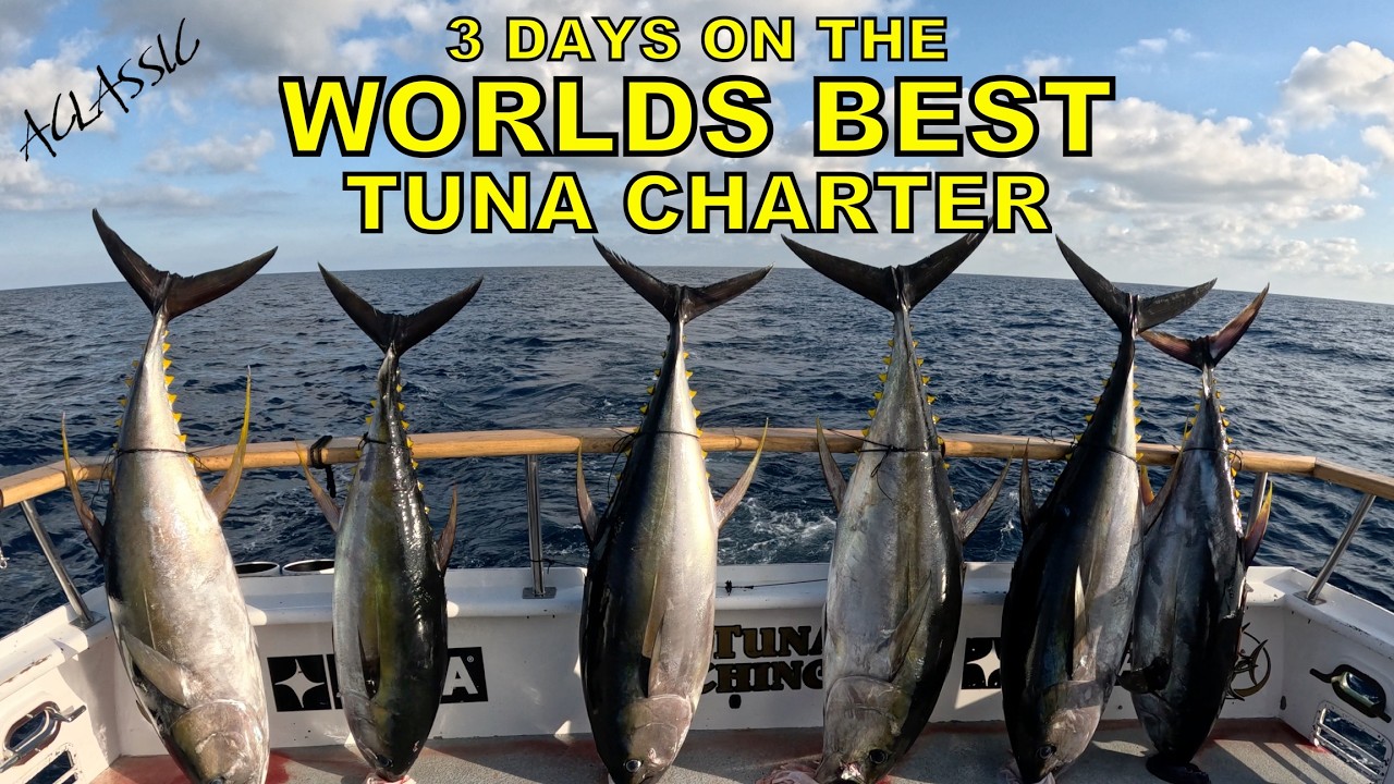 3 Days on the World’s Best Tuna Charter | The Tuna Got Bigger Every Day