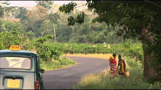 Über Den Inseln Afrikas - Madagaskar