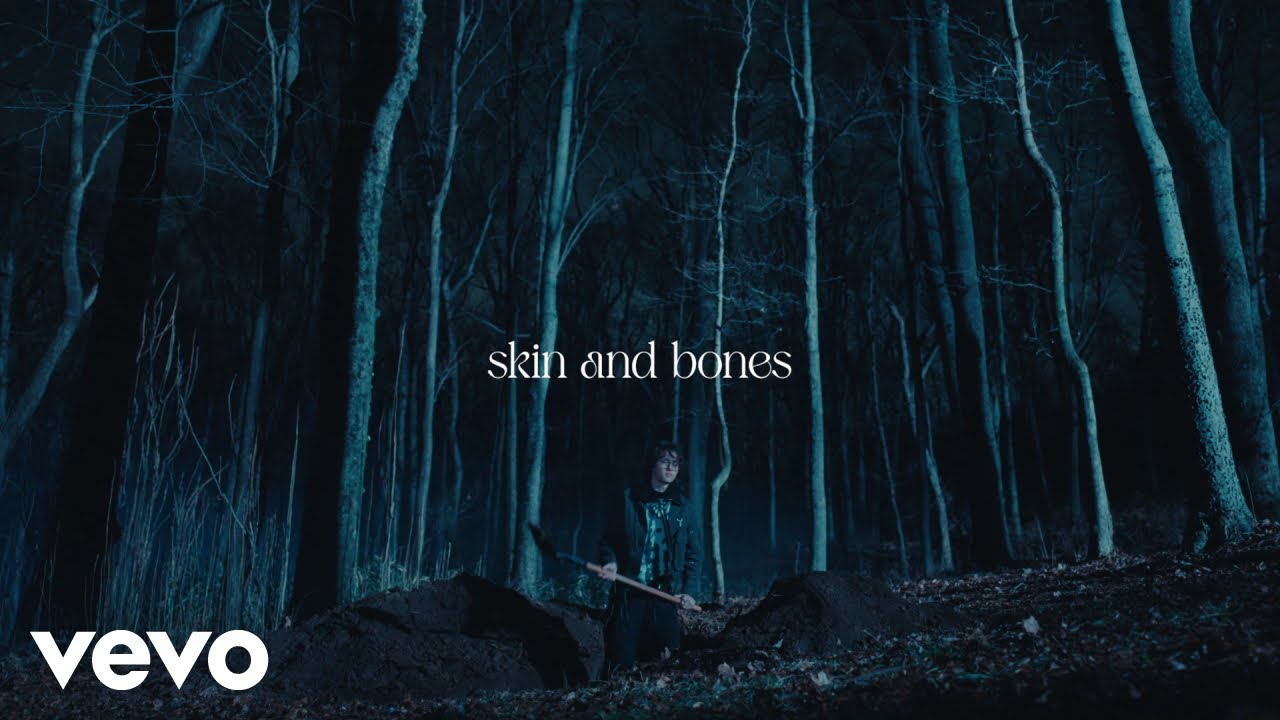 David Kushner   Skin and Bones Official Lyric Video