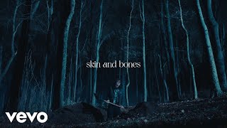 David Kushner - Skin and Bones (Official Lyric Video) image