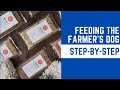 The farmers dog stepbystep feeding tips