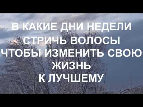 В КАКИЕ ДНИ СТРИЧЬ ВОЛОСЫ ЧТОБЫ ИЗМЕНИТЬ СВОЮ ЖИЗНЬ К ЛУЧШЕМУ ... народные приметы и поверья