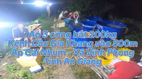 Ao 3 công bắt 200kg tôm càng Kênh Cầu Gia Khang vào 500m Ấp Cái Nhum - Xã Vĩnh Phong - Tỉnh An Giang