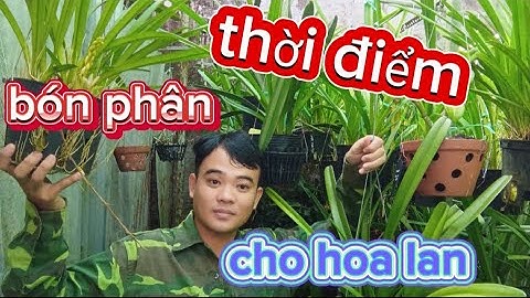 Phân hóa học là gì cho ví dụ năm 2024