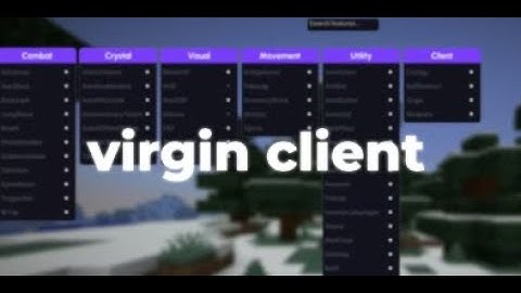 Virgin Client - Minecraft 1.20.4-1.21.4 Ghost Client UNDETECTABLE