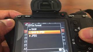 Sony A7Riii, A7Iii, A7Rii, A7Ii, A7Sii - File Formats For Photos - Raw And  Jpeg - Youtube