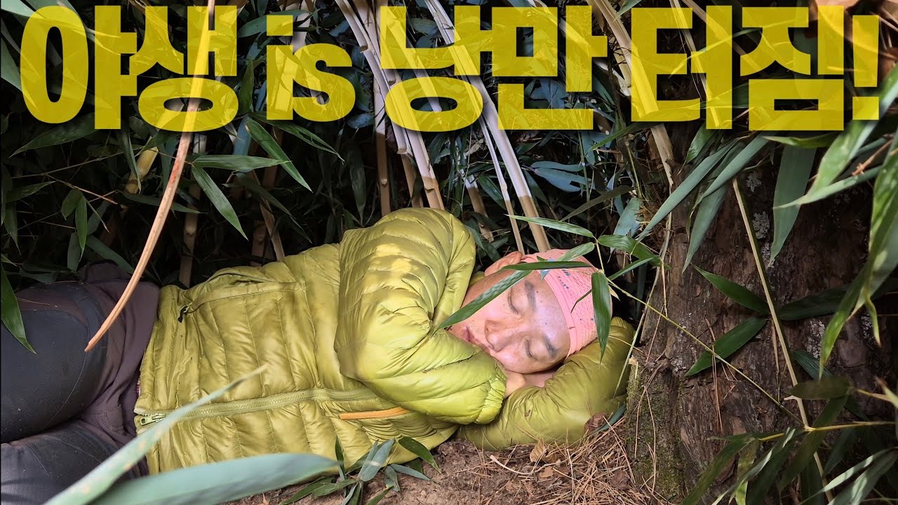 산속에서 움막 짓고, 해삼과 호래기 그리고 육회에 소주한잔! 낭만 넘친다!