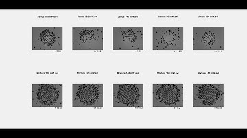 Janus Particles and Mixture
