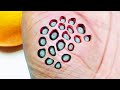 ¿PUEDES ACABAR DE VER ESTE VIDEO? (Examen de Tripofobia) | Juegos Mentales ¿PUEDES ACABAR DE VER ESTE VIDEO? (Examen de Tripofobia) | Juegos Mentales