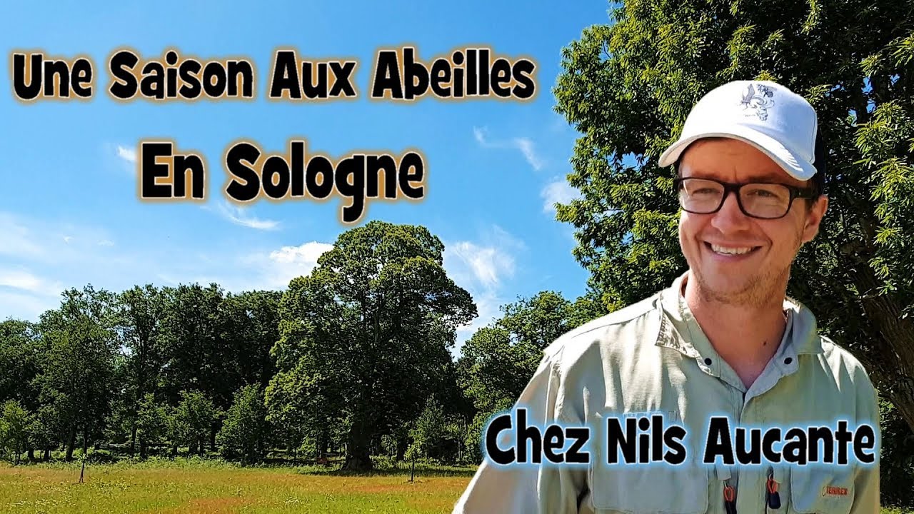 Une Saison Aux Abeilles en Sologne - Chez Nils Aucante - - YouTube