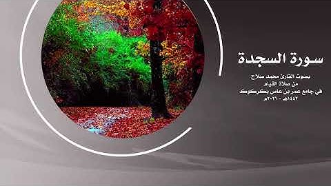 سورة السجدة بصوت القارئ محمد صلاح | HD