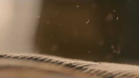 ( إِنّ الإنسانَ خُلق هلوعًا ) تلاوة عذبة للشيخ بدر الألمعي