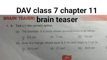 DAV class 7 chapter 11 brain teasers ।Class 7 maths chapter 11 brain teasers dav public school
