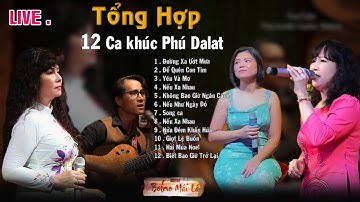 Tổng hợp 12 Ca khúc theo yêu cầu  | Phú Dalat đàn hát Live | Ducmanh Guitar Bolero Mái Lá