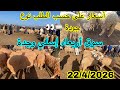 سوق أربعاء إسلي وجدة النوارة راس السوق حولي داخل رحبة المواشي تتراوح مابين3500 و5000