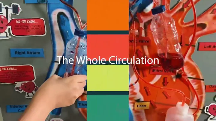 ANATOMY OF THE HEART BY HOWARD | ALMOND