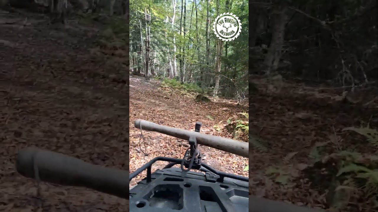 Logging with ATV's!