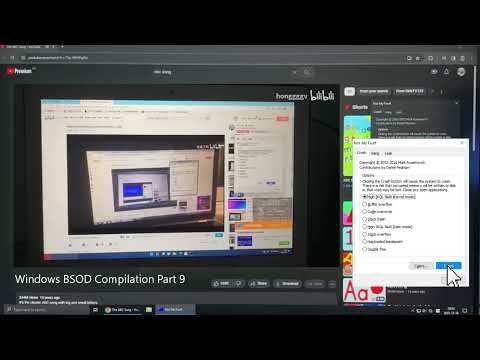 Windows BSOD Compilation Part 9 has BSOD